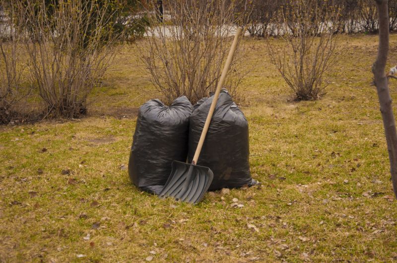 Overgrown Yard Cleanup Promotions