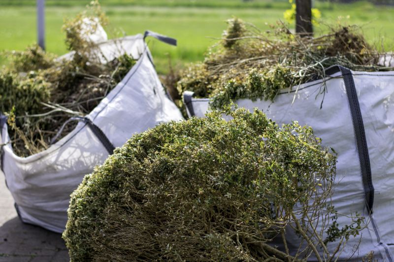 Overgrown Yard Cleanup