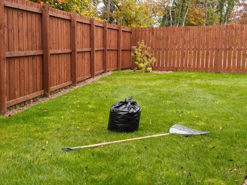 Overgrown Yard Cleanup