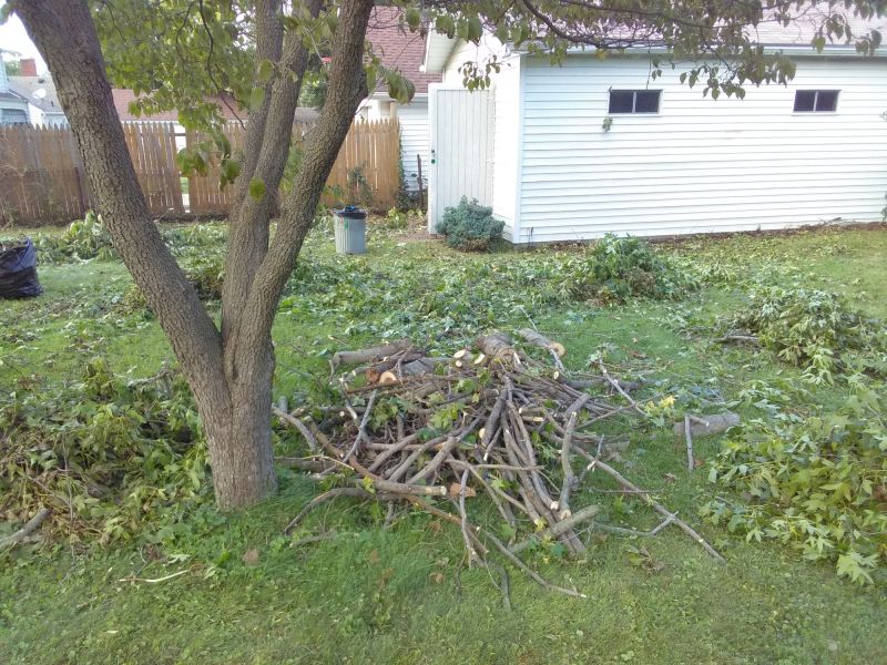 Fall Yard Cleanup