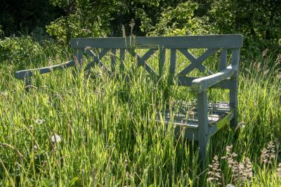 Clear Away Overgrown Vegetation!