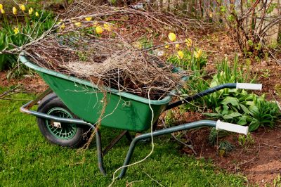 Create a Well-Maintained Landscape with Yard Clean Up!