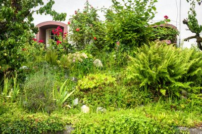 Provide Landscaping for an Overgrown Yard!