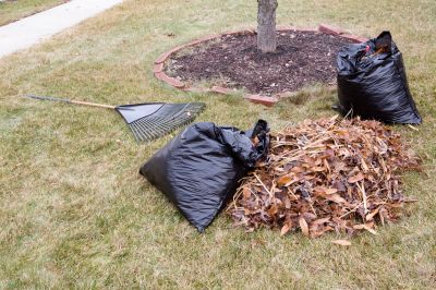 Transform Your Outdoor Space with Overgrown Yard Clean Up!